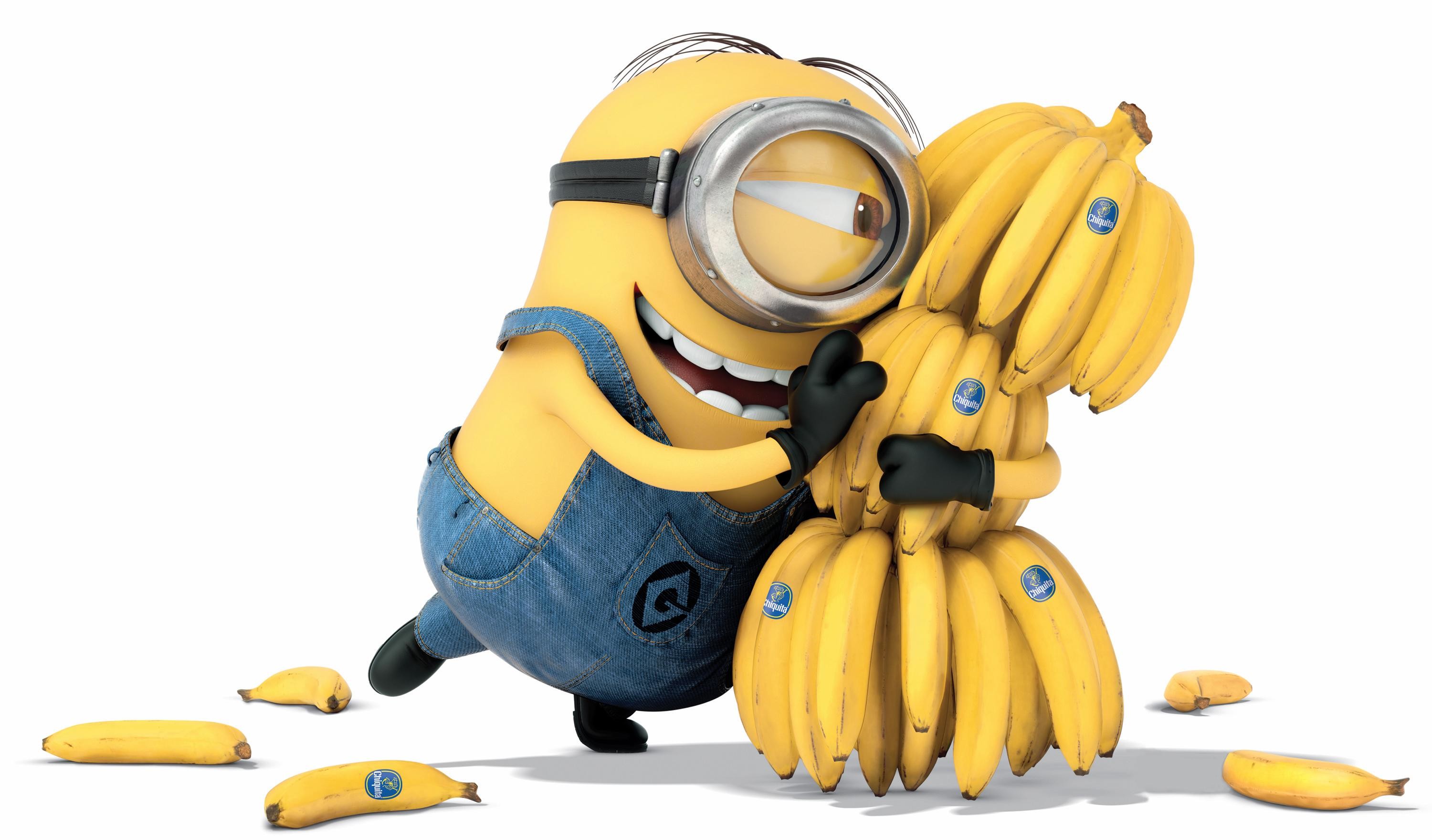 Download Gratis Gambar Https Encrypted Tbn0 Gstatic Gambar Gratis Images Q Tbn 3aand9gcqbf6ipc8oxa2gzir6cerwjihvxe1ewu66xdnet Plmetp7vi 0 Terkeren by Lampung Hits
