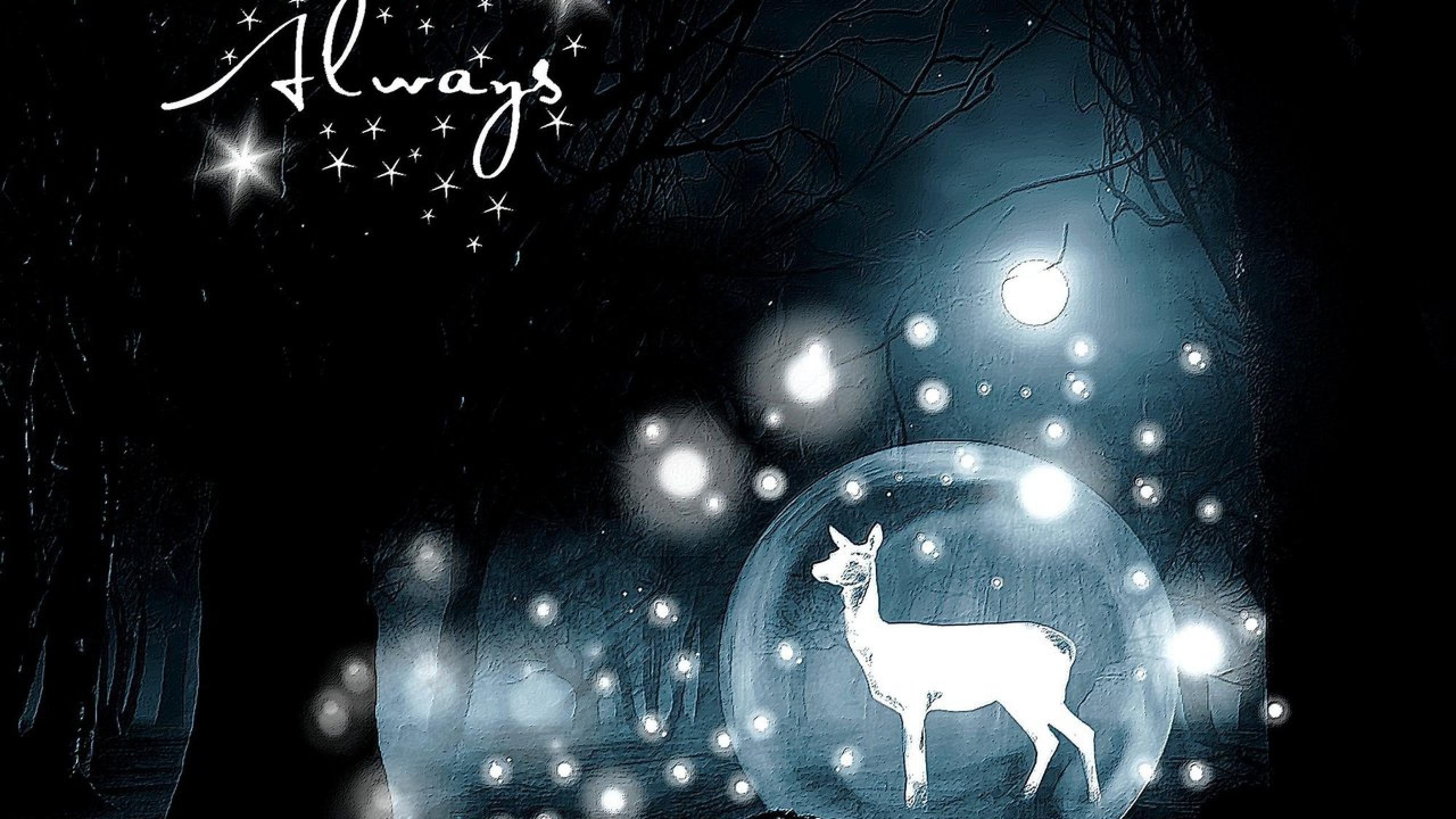 Download Gratuito immagini Harry Potter Wallpaper For Desktop 72 Images aggiornato da parte di