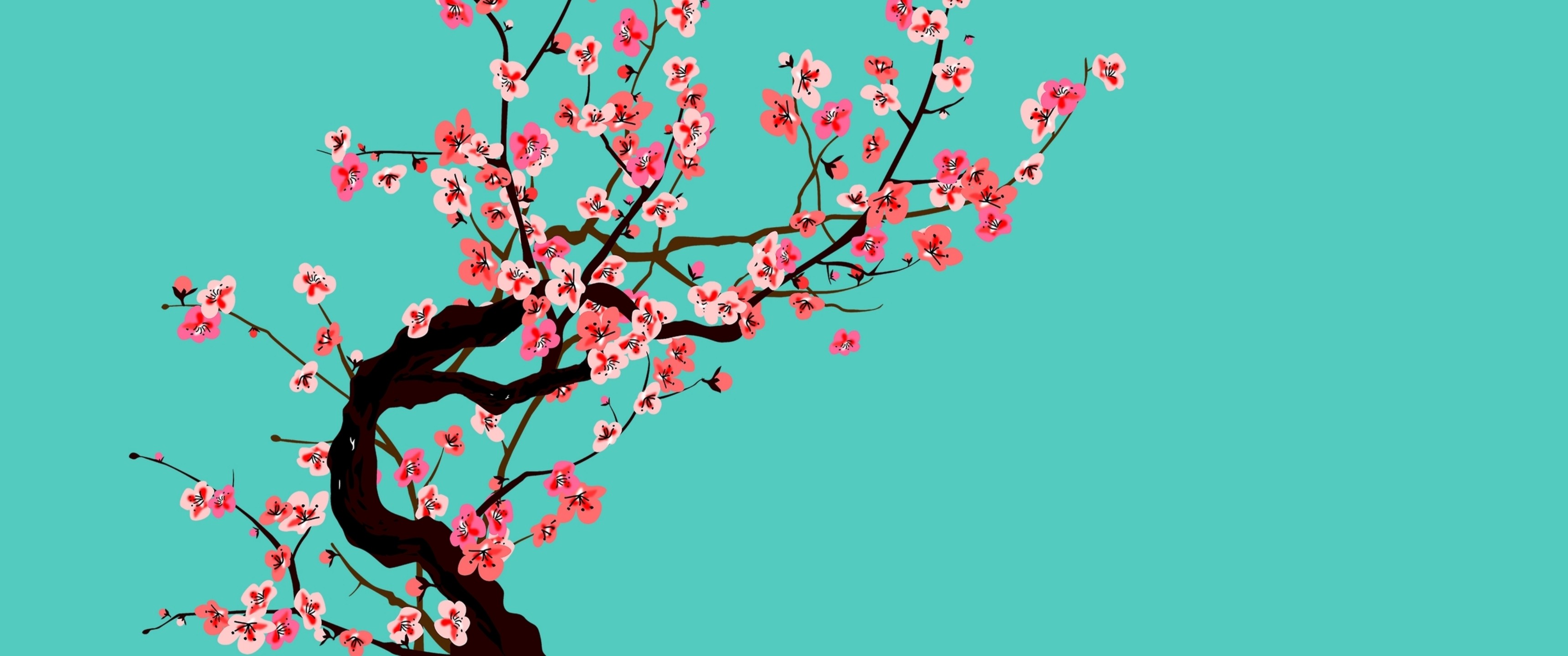 arizona green tea wallpaper (58+ images) on arizona green tea wallpapers