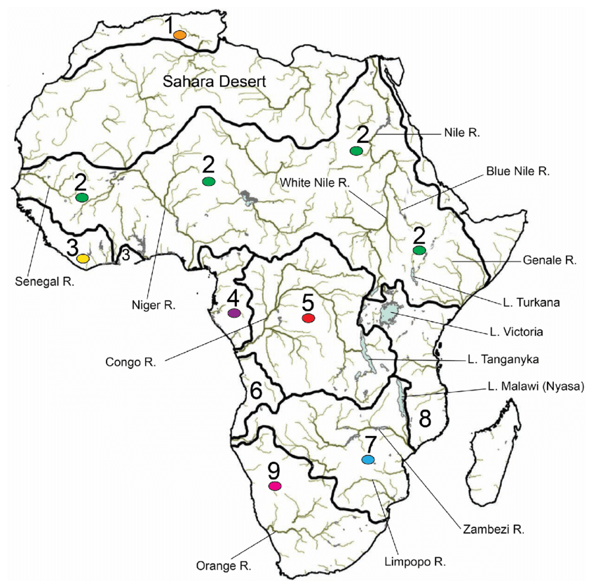 Map Of Africa With Rivers Lakes Printable PDF Rivers In Africa Map 