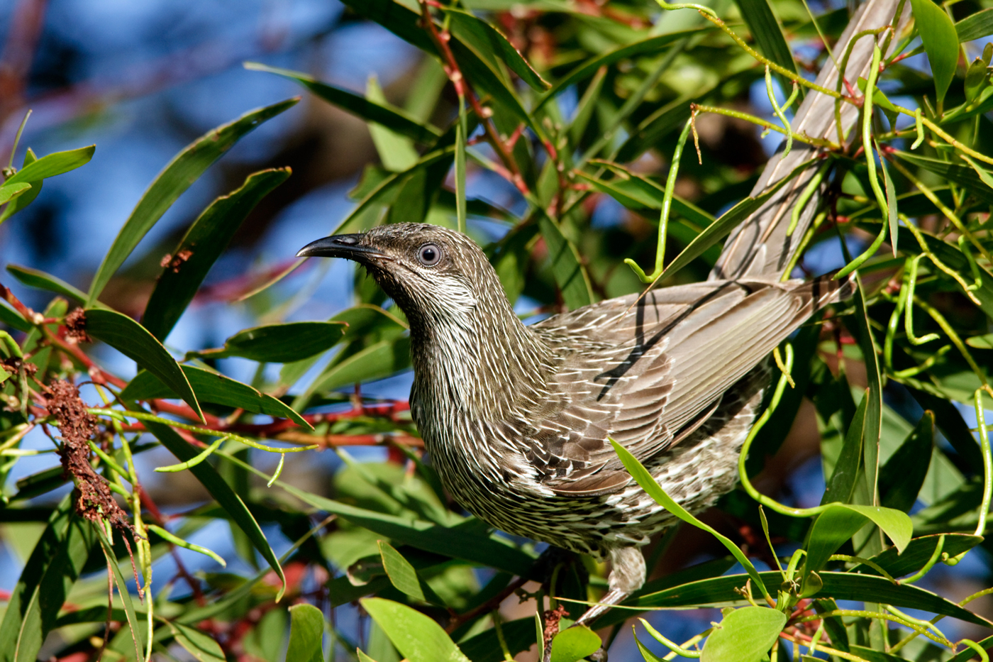 Today, I went for an early walk to start afresh finding small things that make those moments worthwhile