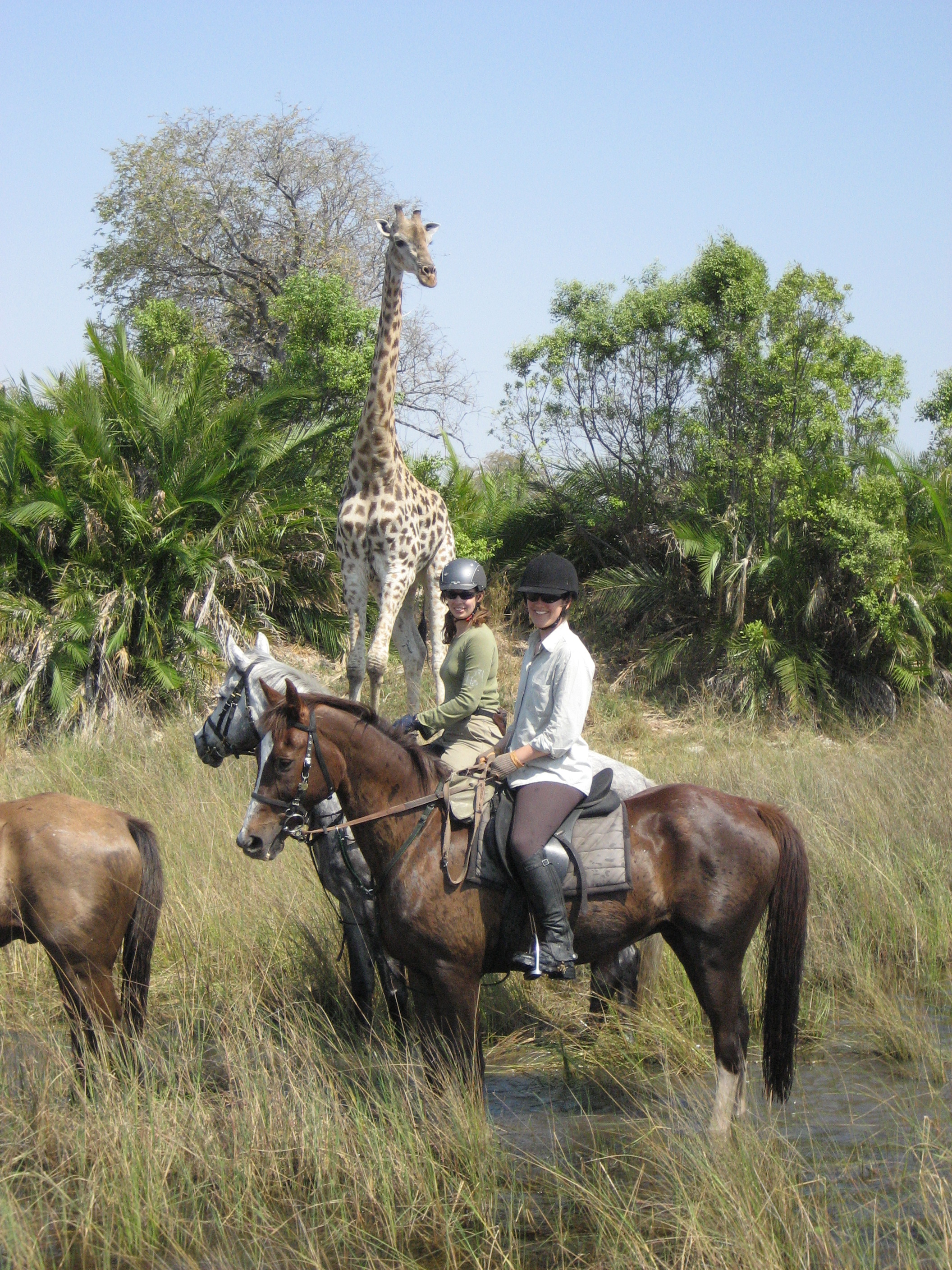 Five Of The Best Horseback Safaris In The Saddle