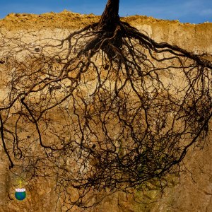 Clearing deep-rooted traumas