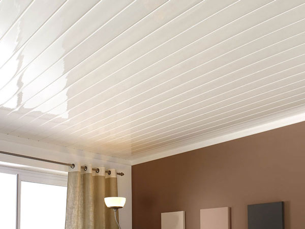 Home Interior False Ceiling Types