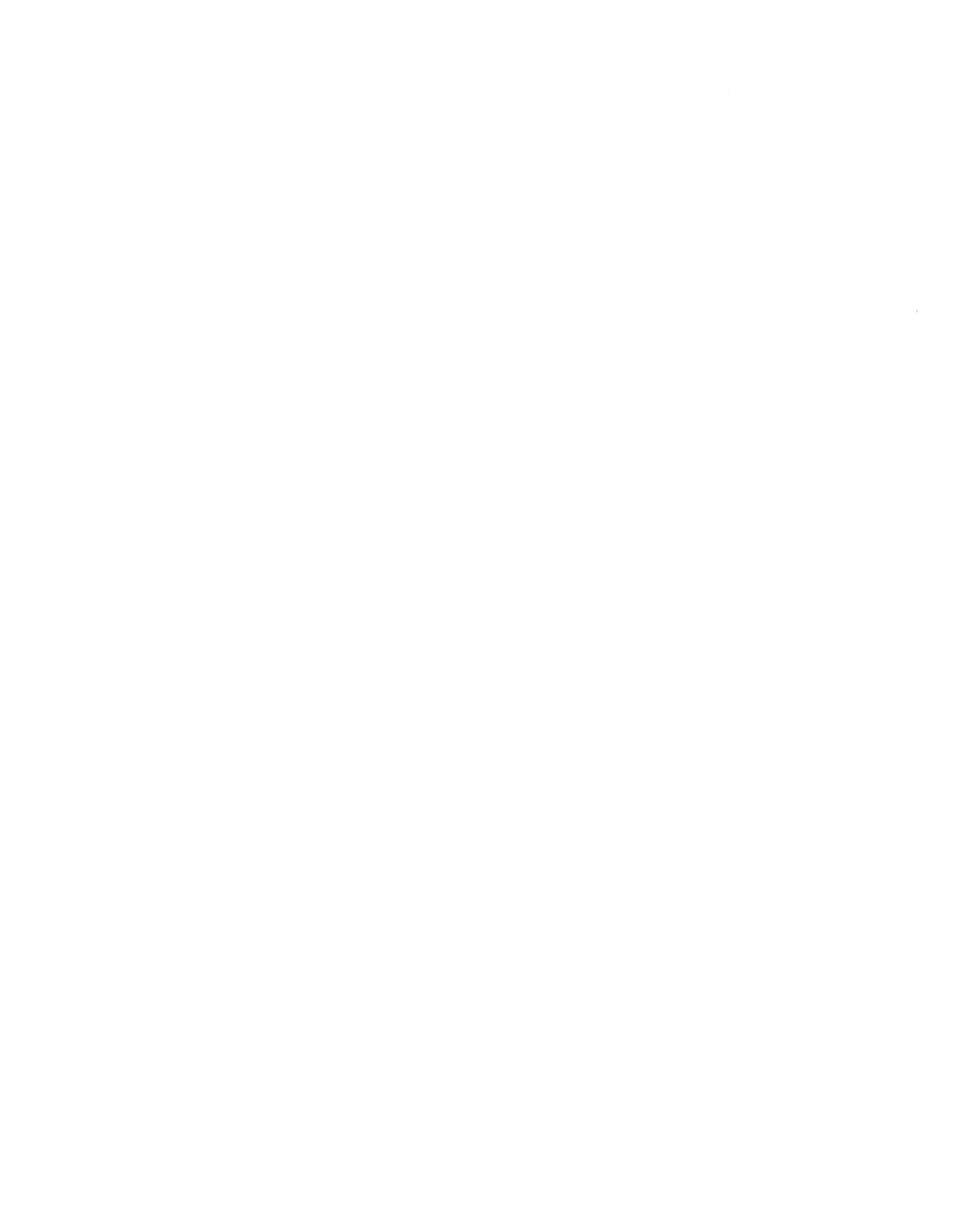 Discovering Our Roots