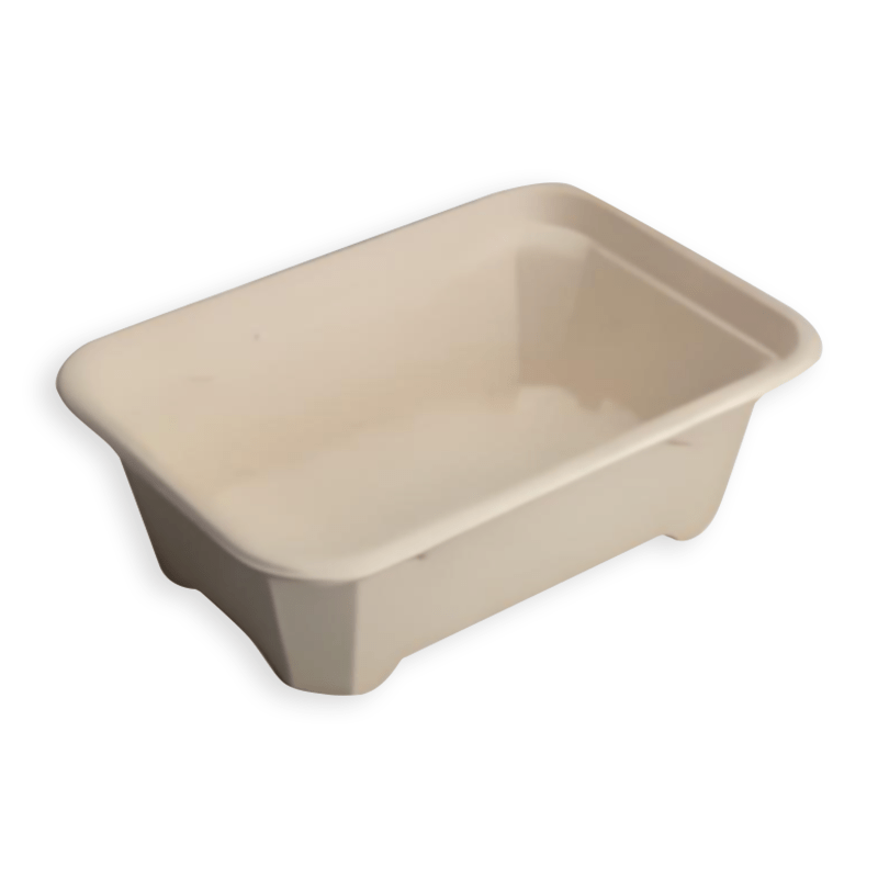 550ml Sugarcane Fibre Bento Box
