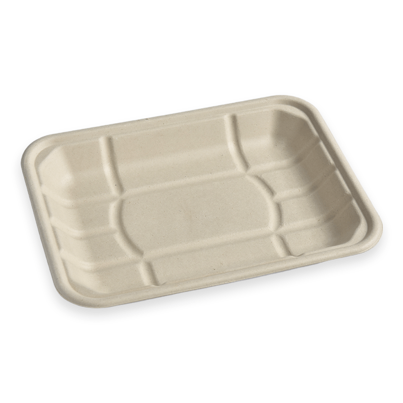 TR4D Sugarcane Fibre Tray