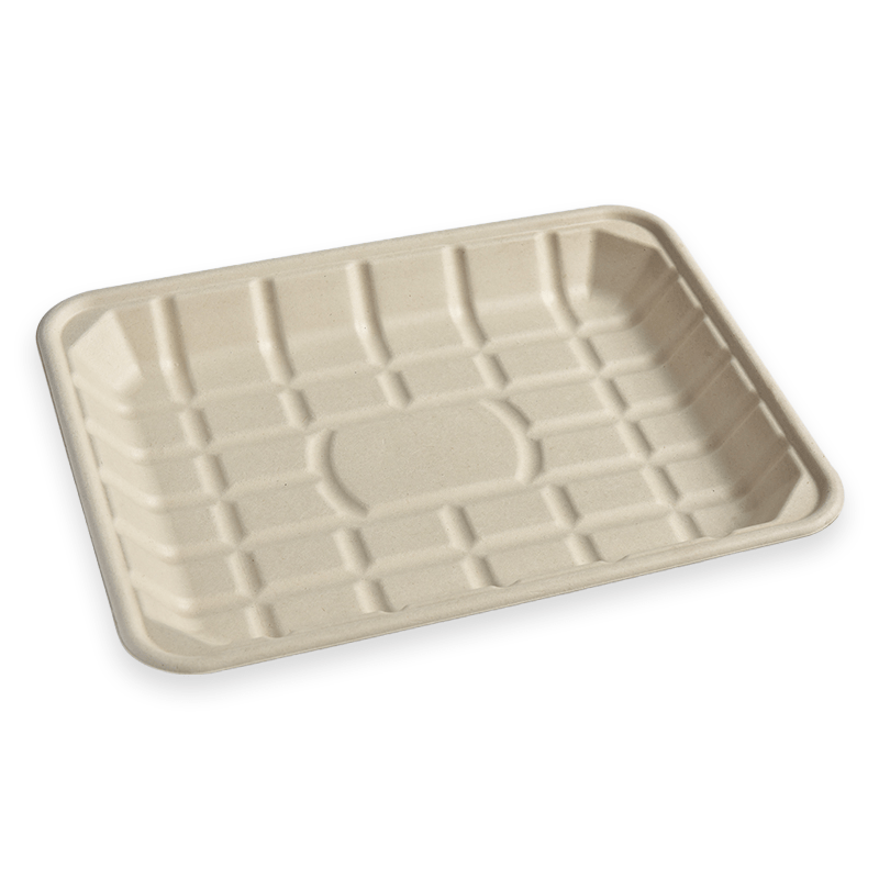 TR9P Sugarcane Fibre Tray