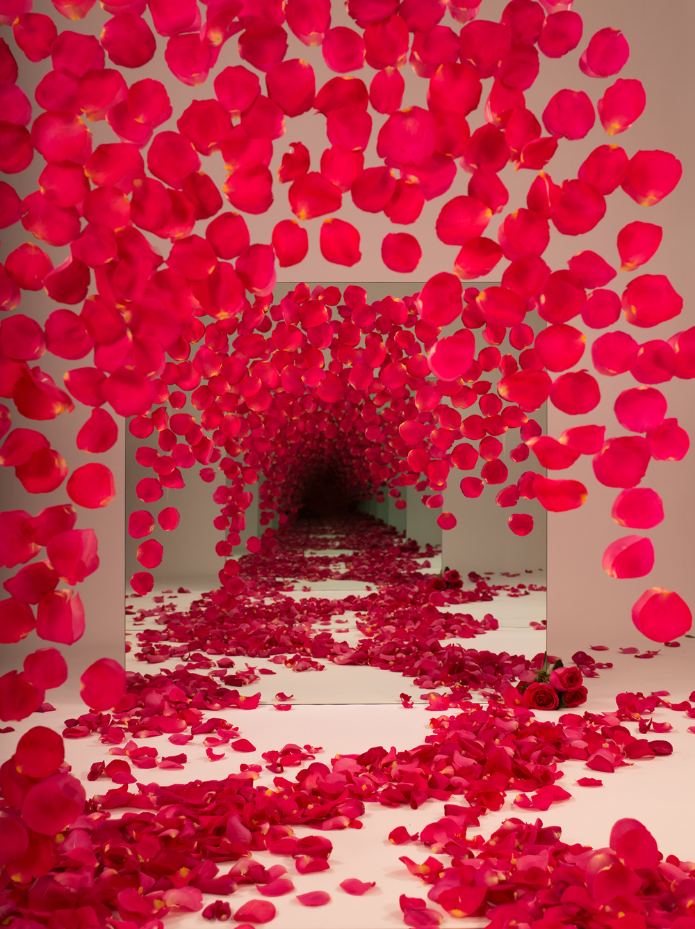 red_petals_web