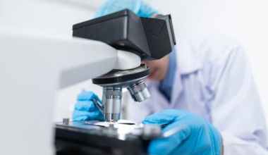 Biotechnologist- Job -Description - What -Are -their -Duties
