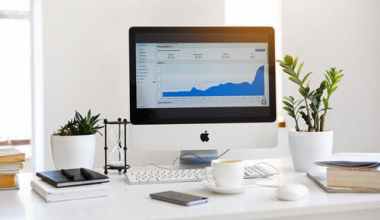 Data -Analyst -Job -Description – What -Are -their- Duties