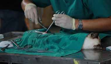 Animal- Scientist- Job- Description- What -Are -their- Duties