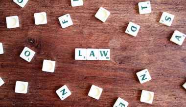 8- Areas- Of -Specialization -To -Consider -As -A- Lawyer