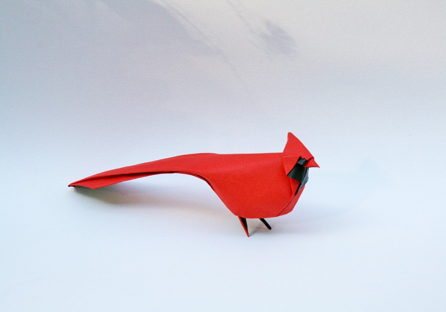 I’ll be showing you how to make a origami bird. Northern Cardinal Origami By Giang Dinh Giang Dinh