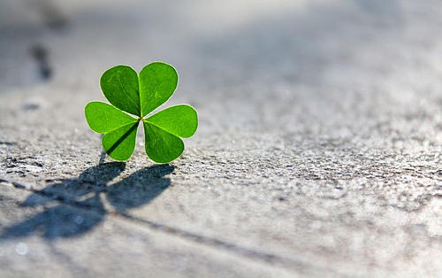 Á Nossa Própria Sorte 30