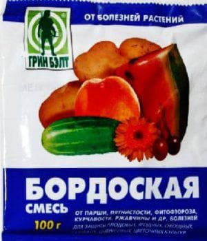 Иллюстрация к материалу «Препараты для клубники от вредителей и болезней. Уход за земляникой во время плодоношения»