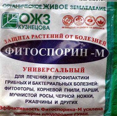 Иллюстрация к материалу «Препараты для клубники от вредителей и болезней. Уход за земляникой во время плодоношения»