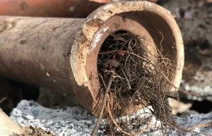 common sewer pipe problems