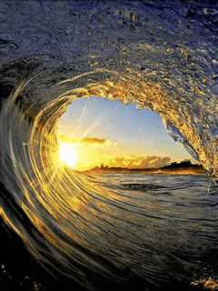 They are used to reform your hair and transform it into a lovely wavy hairstyle. 9 Beach Gifs - Gif Abyss