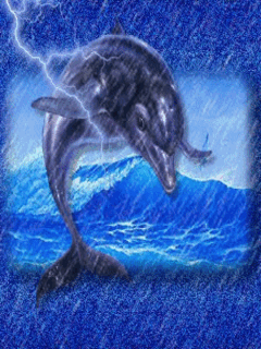 The best gifs for anime wallpaper. 7 Dolphin Gifs - Gif Abyss