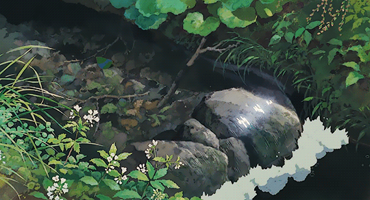 That gif loops so perfectly it's not even funny. 30 My Neighbor Totoro Gifs Gif Abyss