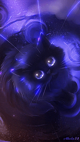 Moving cat wallpaper gif