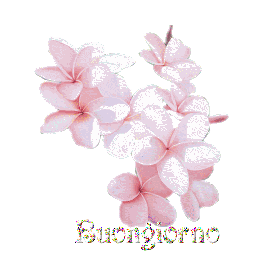 7927 Statement Gifs Gif Abyss