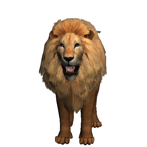 Lion Gif Id 88208 Gif Abyss