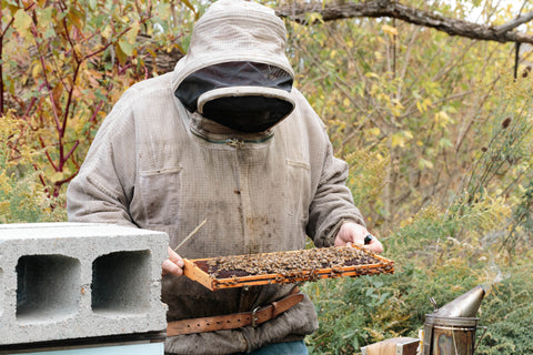 Awckland’s Sugar Shack & Apiary