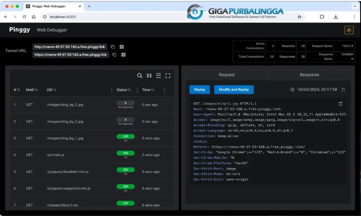 HTTP Debugger Full Download