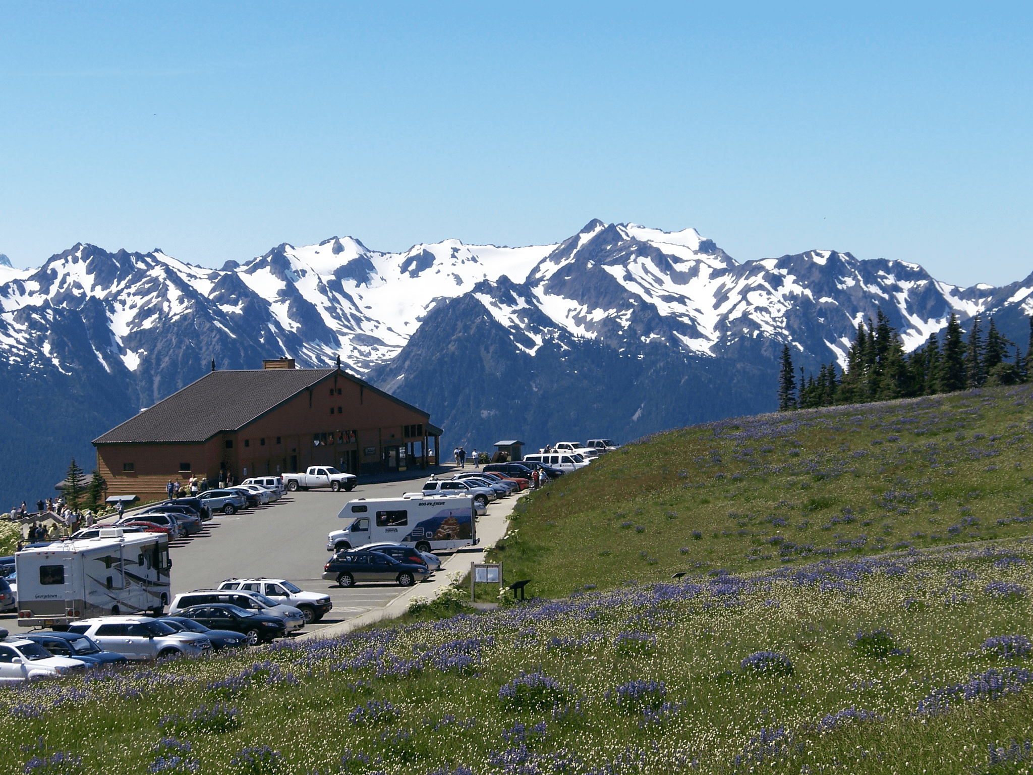 hurricane ridge