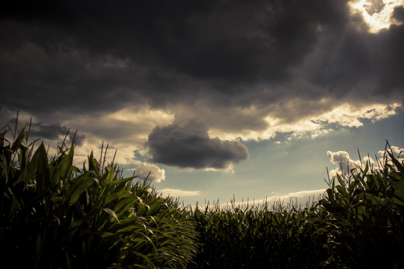 Storm over the Labyrinth - Photo : Gilderic