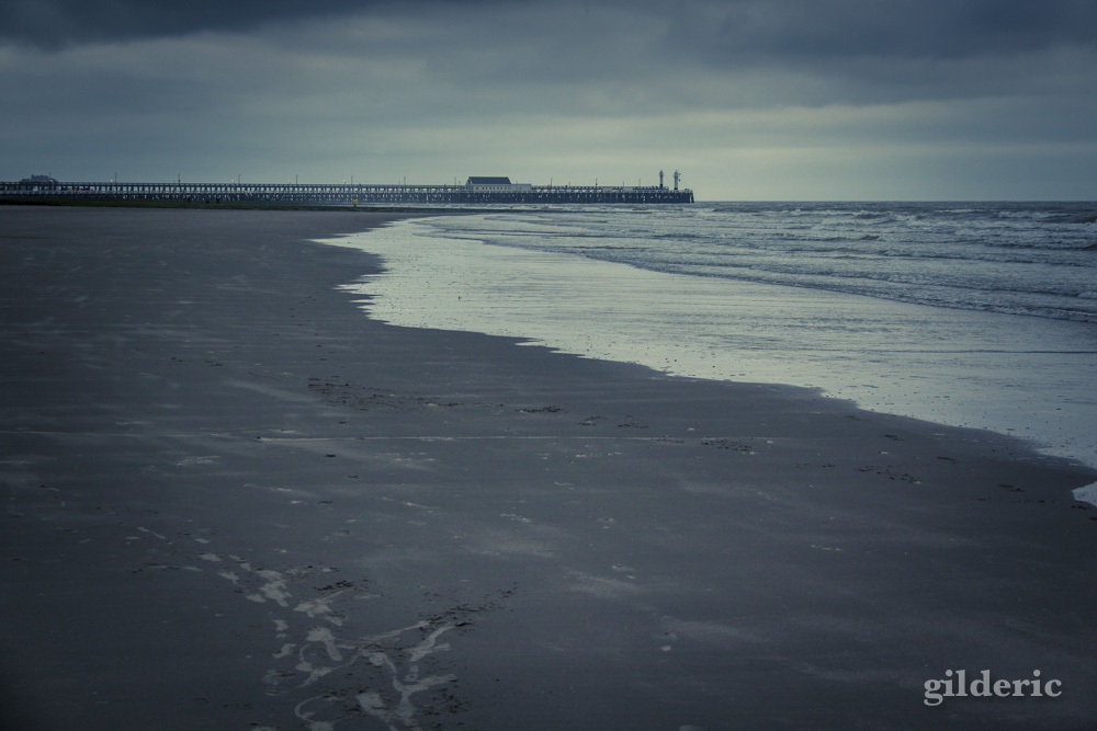 Plage de Blankenberge - Photo : Gilderic