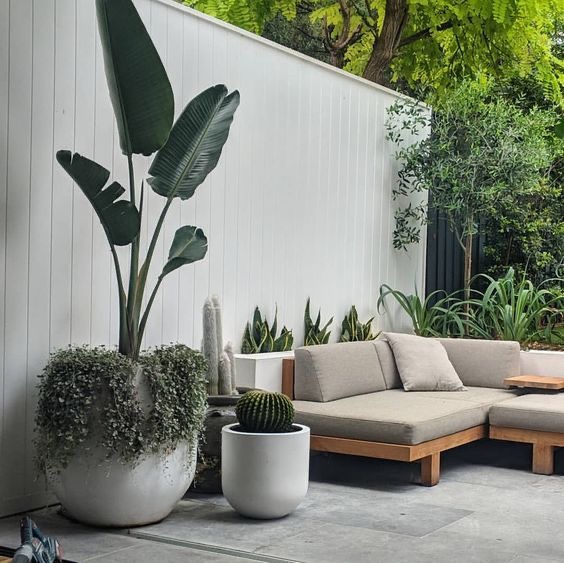 COMO DISEÑAR Y DISTRUBUIR DE LA MEJOR MANERA UNA TERRAZA 