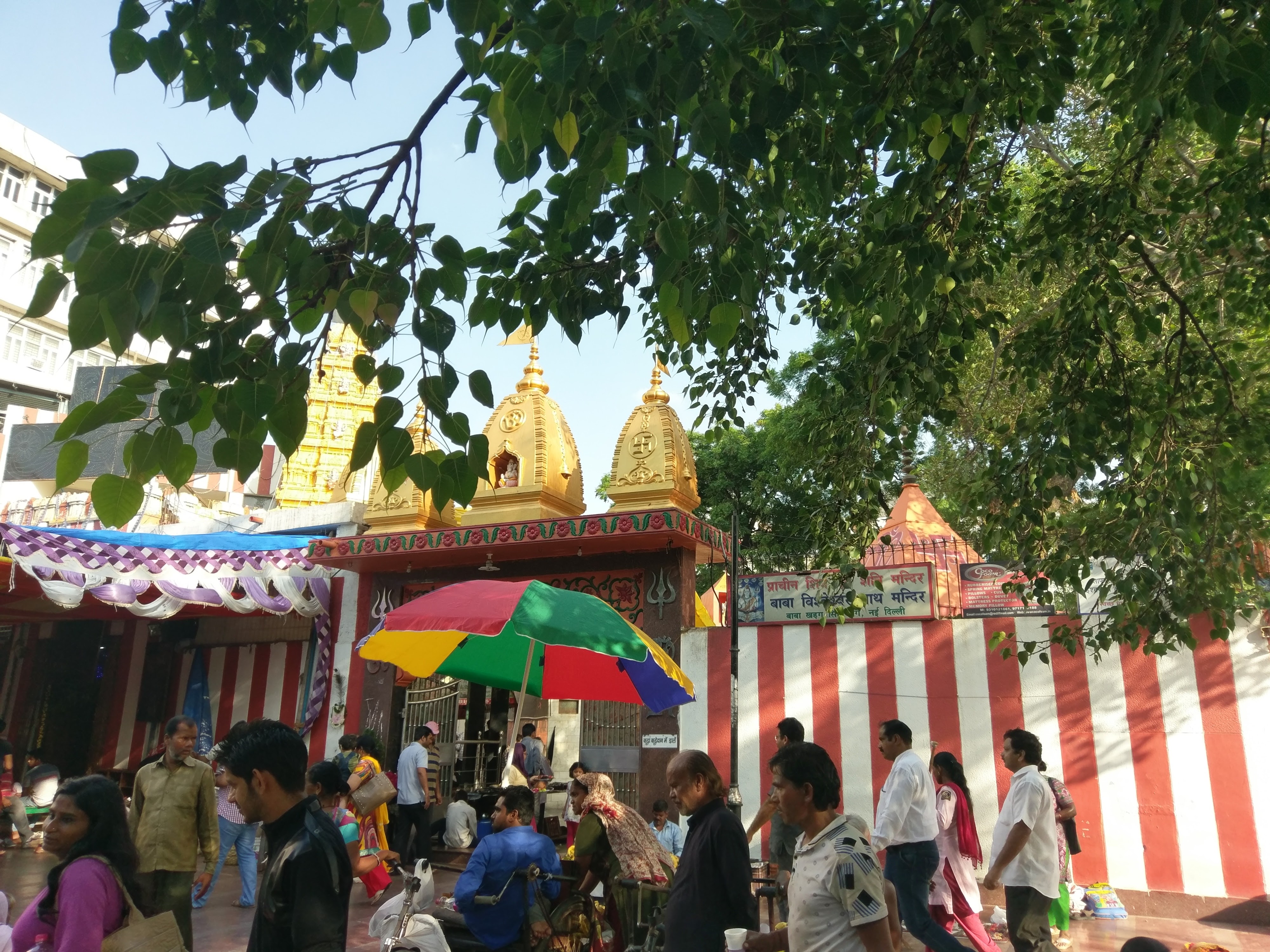 IMAG0183 (1)
