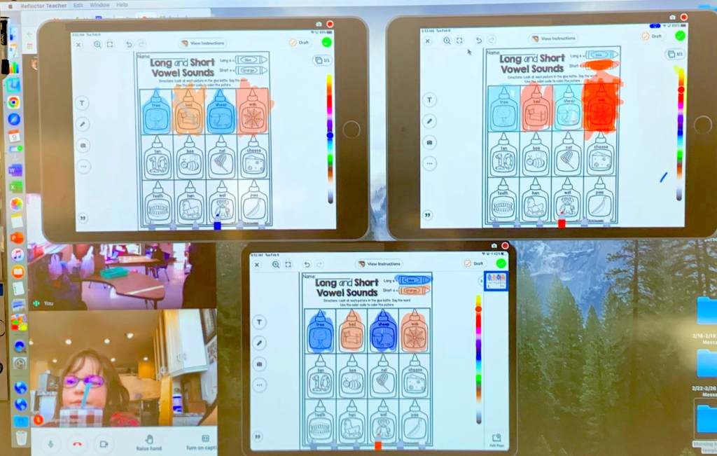 Displaying multiple iPads onscreen