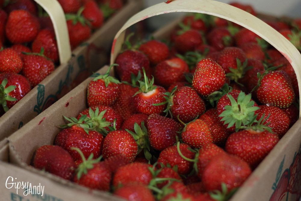 Sauf pour matériel, pièces détachées et boites de conserves. Retour sur ma production de conserves 2018 â gipsyandy.com