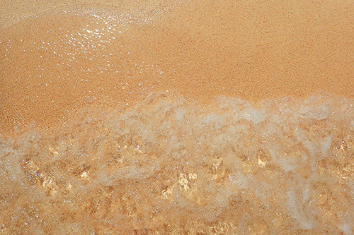 フリー写真画像『海側から撮られた美しい波打ち際』[ID:3748]