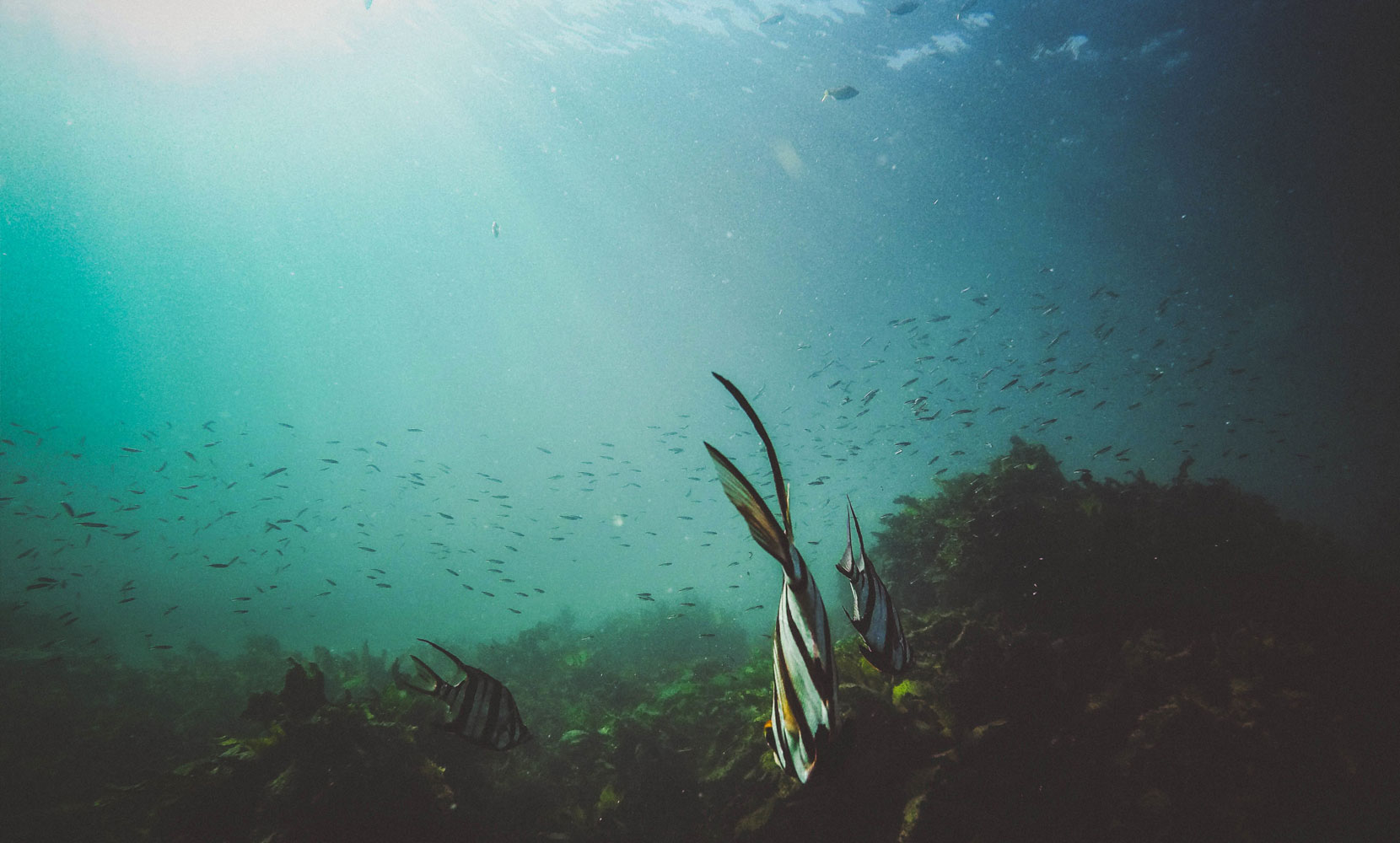 Seabed