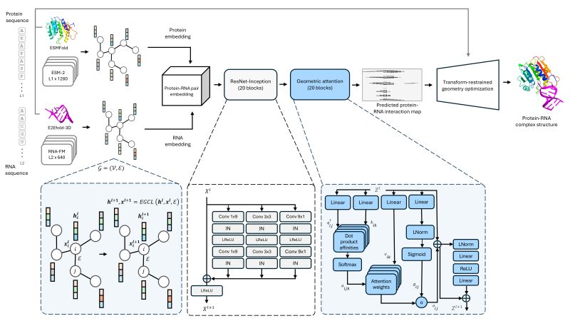 Github Bhattacharya Lab Rnabpflow - Incredible Light Photo - High Resolution