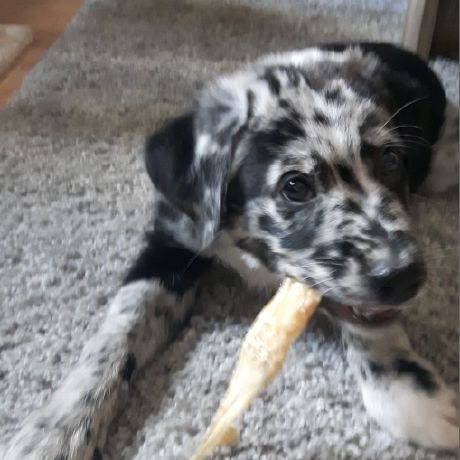 Net5 0 Contextmenu Design Issue 324 Borntoberoot Networkmanager - High Quality Ultra HD Vintage Photos | Free Download