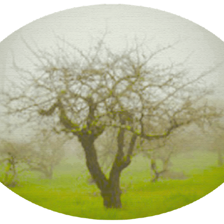 Github Topics Doxing Ecosyste Ms Repos - Classic Mobile Nature Wallpapers | Free Download