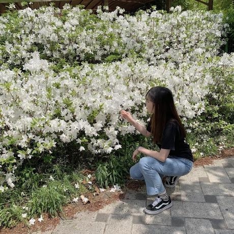 Zzalu Github - Amazing 8K Minimal Backgrounds | Free Download