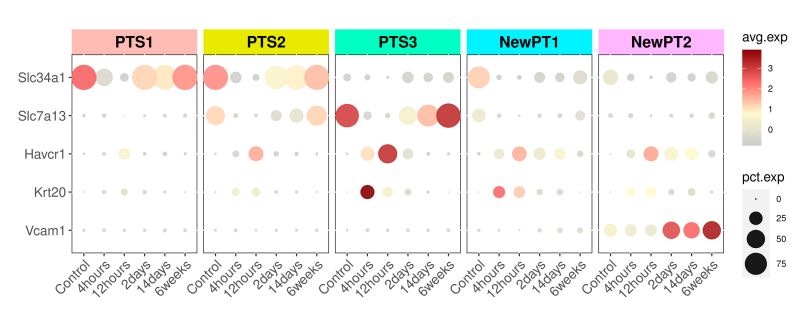 Thehumphreyslab Github - Download Beautiful Geometric Picture | Full HD