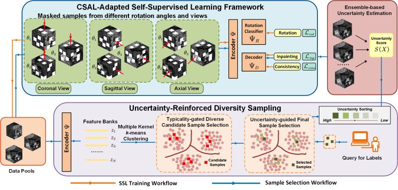 Auth Csal Github - Best Mountain Designs in 8K