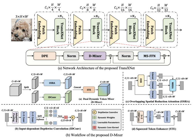 Github Lmmmeng Transxnet Transxnet Learning Both Global And Local - Stunning HD Space Designs | Free Download