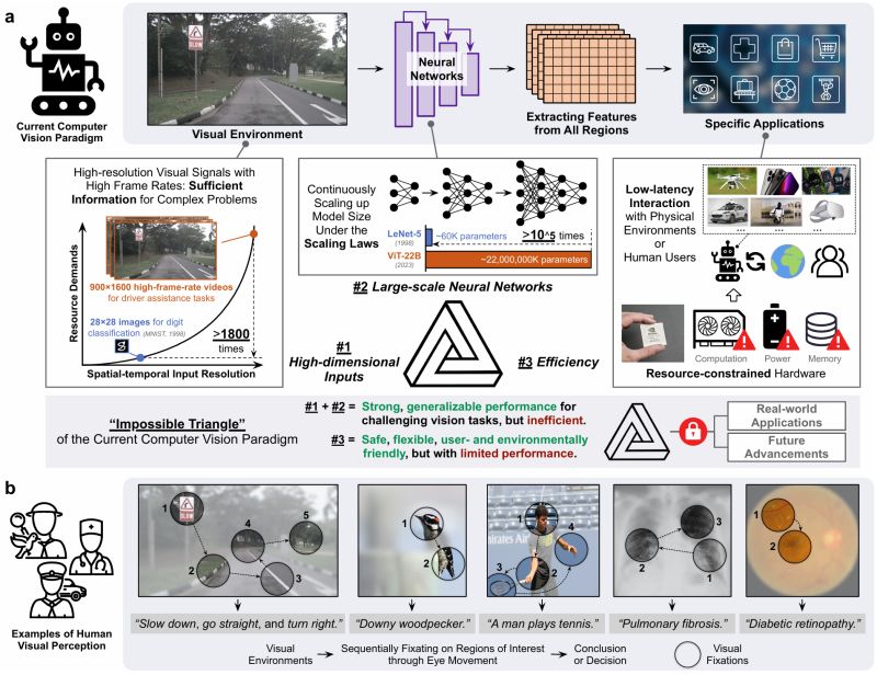 Efficienttrain Optim Factory Py At Main Leaplabthu Efficienttrain - Download Professional Colorful Photo | Mobile