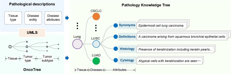 Github Magic Ai4med Kep Eccv 2024 Oral Knowledge Enhanced - Modern Light Background - Desktop