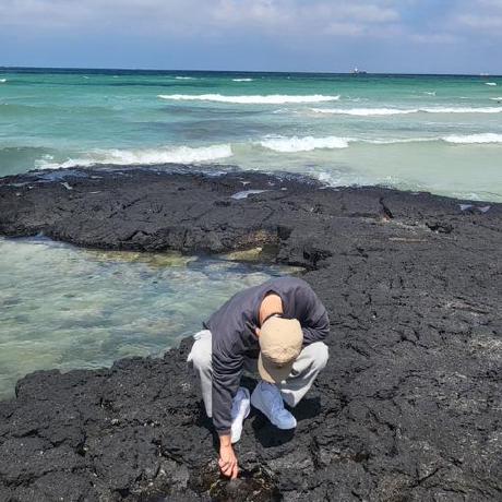 Github Recarrdo Algo Termproject - Nature Images - Artistic Full HD Collection