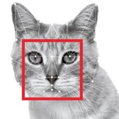 Github Blood Mate Blood Mate Server - Dark Background Collection - Mobile Quality